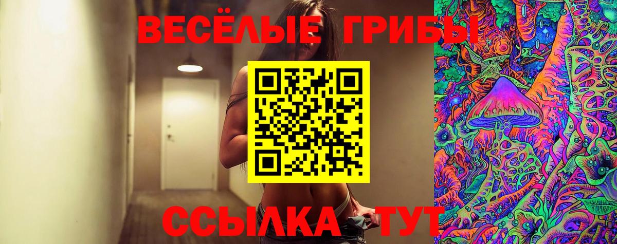 Псилоцибиновые грибы прущие грибы  Псилоцибиновые грибы Magic Shrooms  Сосновый Бор  Вход с VPN 